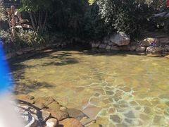 -天芳悦潭度假村温泉