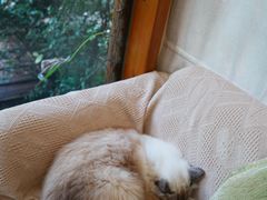 -谷咖啡·鲜花绿植花园餐厅