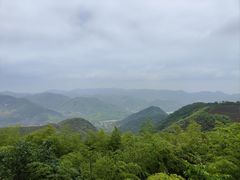 -莫干山风景区
