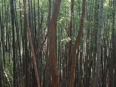 -穹窿山景区