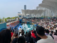 -秦皇岛新澳海底世界