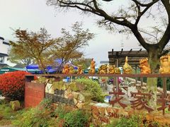-树山生态村