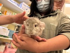 -龙猫仔乐园(惠福东路店)