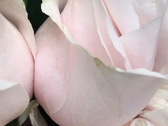 -那些花儿鲜花店(小寨店)