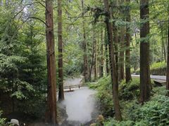 -东明山森林公园