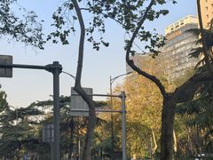 -蜜雪冰城(南关正街店)