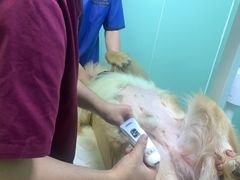 -美联众合动物医院·24h京西诊疗中心