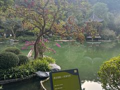 -云溪植物园