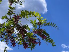 -鹫峰国家森林公园