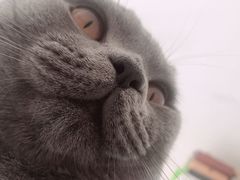 -宠福鑫康馨动物医院·骨科·眼科
