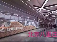 -金吉鸟健身游泳