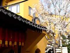 -龙华寺