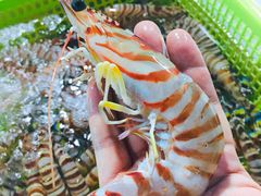 -霞涌市场海鲜摆卖区