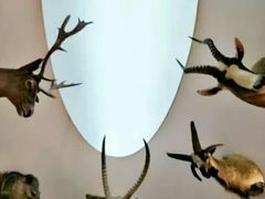 -陕西自然博物馆