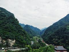 -沣峪口