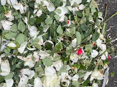 -循礼门鲜花花市(武汉循礼门店)