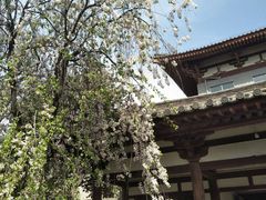 -西安青龙寺遗址景区
