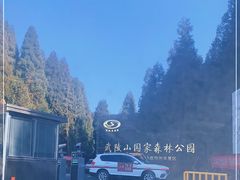 -武陵山森林公园