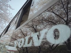 -南浦大桥长途旅游客运站