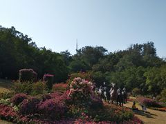 -广州雕塑公园