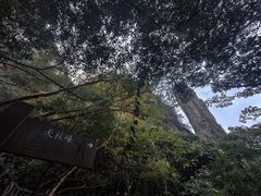 -龙湾潭国家森林公园