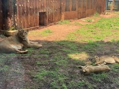 -昆明动物园