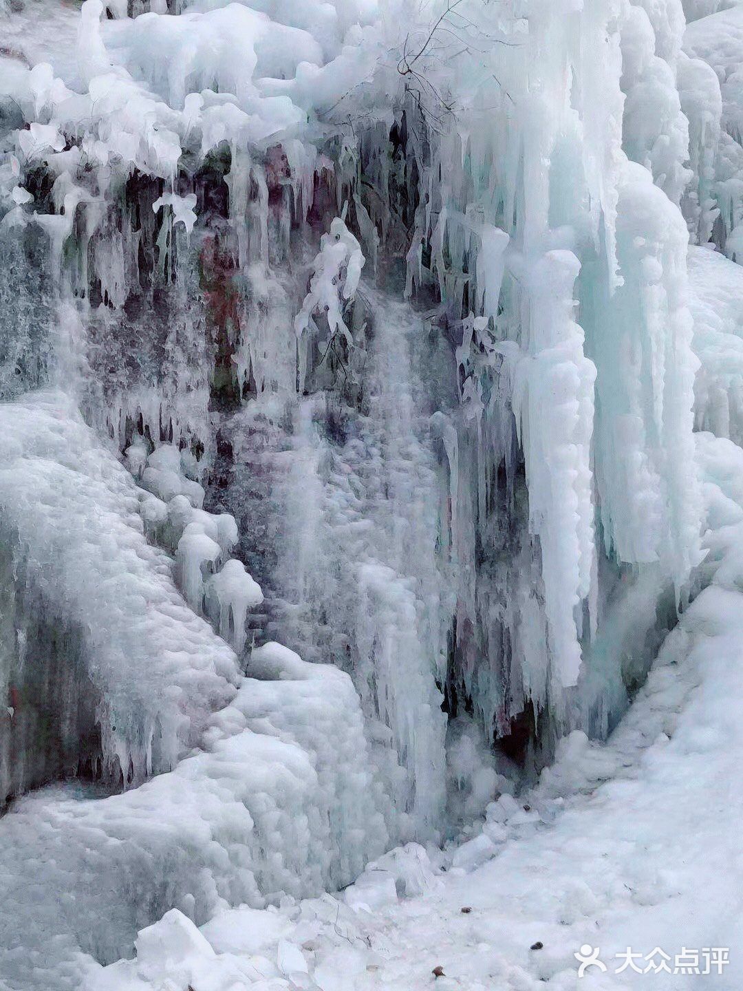 拍照玩耍，赏景，放松心情迎接牛年的到来