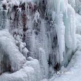 拍照玩耍，赏景，放松心情迎接牛年的到来