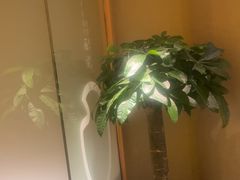 -桂满陇·蟹黄小笼汤包(中山公园店)