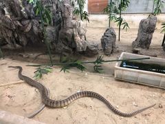 -荔城生鲜盛宴(番禺旗舰店)