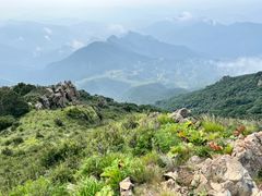 -白草畔自然风景区