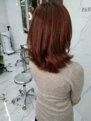 -潘多拉Hairsalon