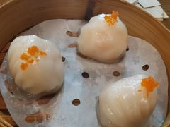 虾饺-喜粤糖朝餐厅(三八广场店)