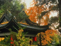 -惠山古镇·寄畅园