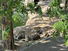 -大连森林动物园