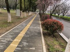 -艾溪湖湿地公园