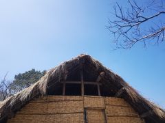 -河姆渡遗址博物馆