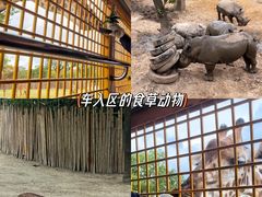 -上海野生动物园