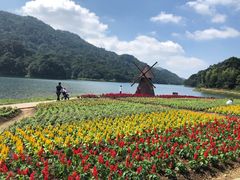 -广州市石门国家森林公园