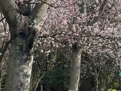 -狼山风景名胜区