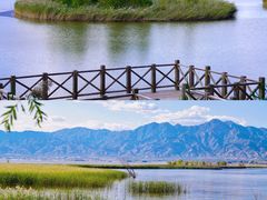 -野鸭湖国家湿地公园