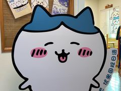 -优米国际日语·留学·移民(南山校区)