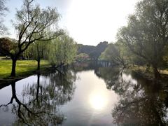 -上海共青森林公园