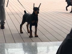 -东浩兰生上海世博展览馆