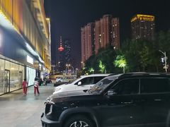 -辽宁电视塔