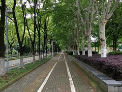 -后襄河公园