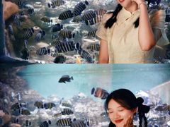 -重庆欢乐海底世界