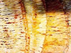 -水一方现烤鱿鱼丝大连特产(华南亿合城店)