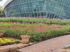 -石家庄市植物园
