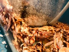 -海九澎湖海鲜餐厅